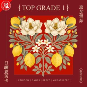 2026 日曬夏茉卡 耶加雪菲 TOP G1 74110