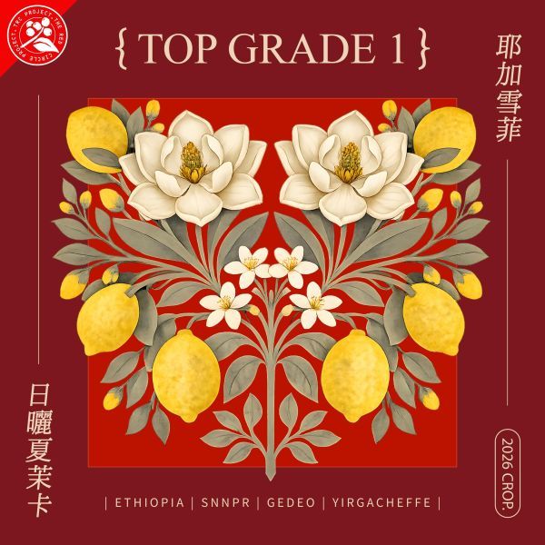 2026 日曬夏茉卡 耶加雪菲 TOP G1 74110