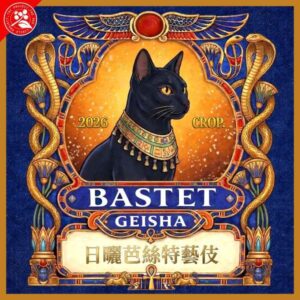 日曬芭絲特藝伎 罕貝拉 布穀阿貝兒 TOP G1