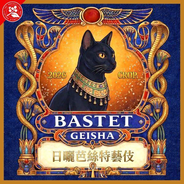 日曬芭絲特藝伎 罕貝拉 布穀阿貝兒 TOP G1